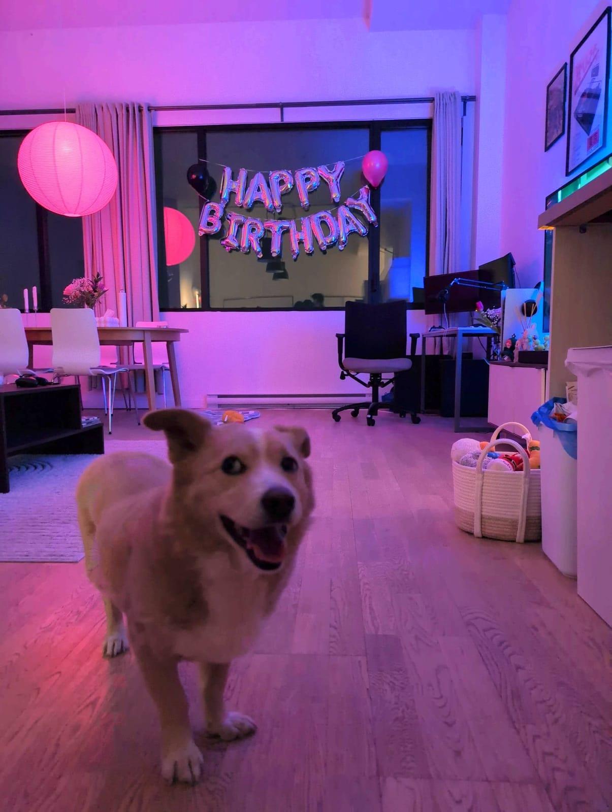 Birthday Party Photo Ideas for Adults That Actually Work