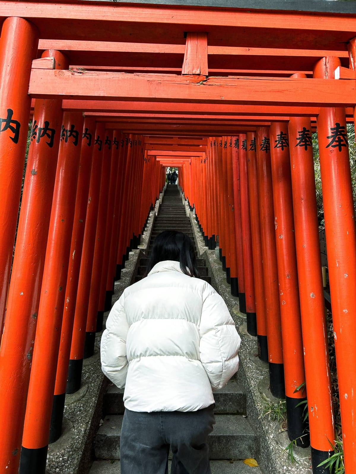 Japan Trip With Friends: Every Photo in One Album